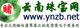 赌石视频网
